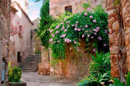 Фотошпалери Красивий старий дворик Фотошпалери Красивий старий дворик