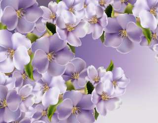 Фотошпалери Фіолетові квіти 23158