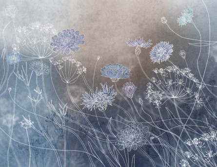 Фотошпалери сині волошки Фотошпалери сині волошки