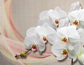 Фотошпалери Орхідеї на тлі тканини 23081