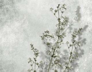 Фотошпалери дизайнерський кріп 30985