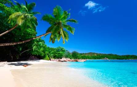 Фотошпалери Залитий сонцем пляж Фотошпалери Залитий сонцем пляж