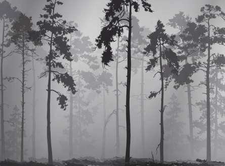 Фотообои ЧБ деревья Фотообои ЧБ деревья