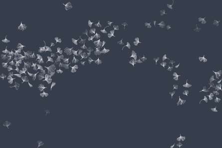 Фотошпалери кульбаба в стилі line art Фотошпалери кульбаба в стилі line art