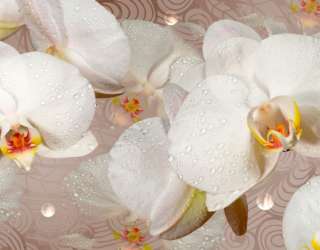 Фотошпалери 3D квіти 17639_1