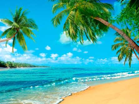 Фотошпалери Берег океану Фотошпалери Берег океану