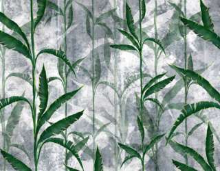 Фотошпалери Тропічні листя 30687