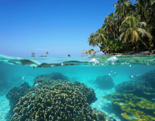 Фотообои Море, кораллы и пальмы 20918