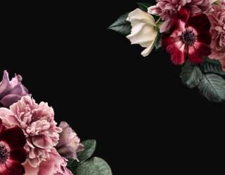 Фотошпалери квітковий мікс на чорному 30121