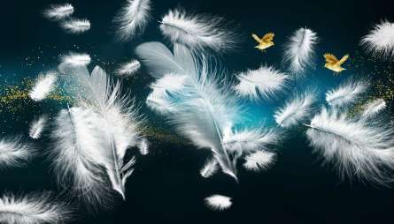 Фотошпалери біле пір'я і золото