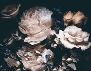 Фотошпалери Вінтажні квіти на чорному тлі 22507