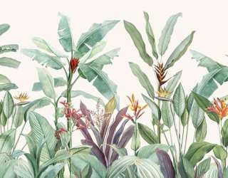 Фотошпалери тропічні пальми і листя 31038