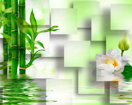 Фотошпалери Бамбук