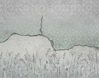 Фотообои Бетон с узором и ботаникой 27582