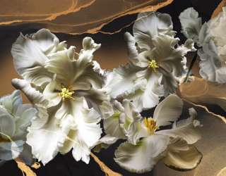 Фотошпалери махрові тюльпани 3d 29795