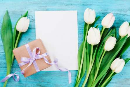 Фотообои Тюльпаны