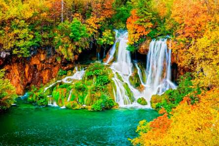 Фотошпалери Два потічка Фотошпалери Два потічка