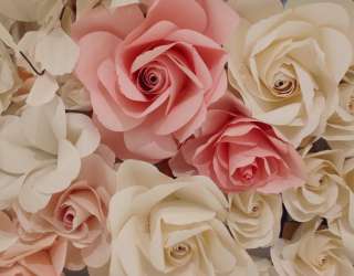 Фотошпалери білі і рожеві троянди з паперу 21370