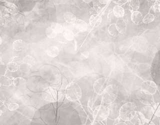 Фотообои Сухоцветы дизайнерские бежевые 33165