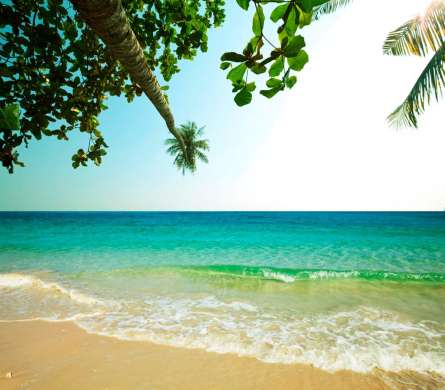 Фотообои Зеленые волны