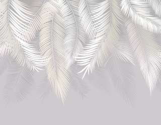 Фотошпалери пухнасті пальмове листя на стіну 31614