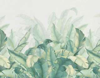 Фотошпалери бананове листя 29991