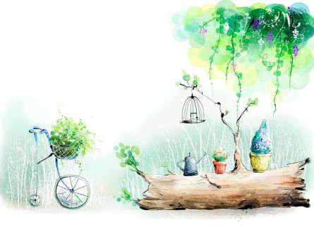 Фотошпалери Колода