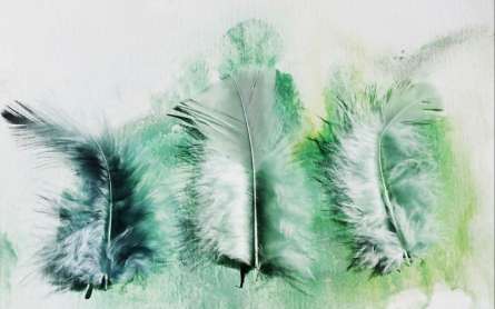 Фотошпалери зелені пір'я Фотошпалери зелені пір'я