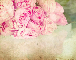 Фотошпалери Квіти блідо-рожеві 10942