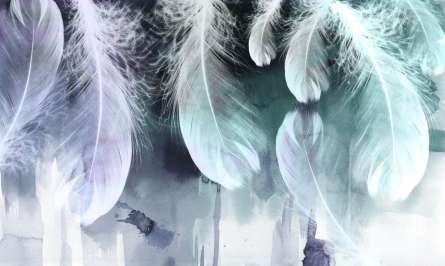 Фотошпалери повітряні пір'я