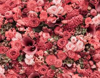 Фотошпалери Квіткова стіна 26222