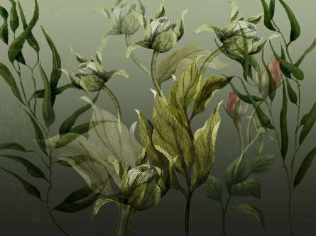 Фотообои Зелёные листья Фотообои Зелёные листья