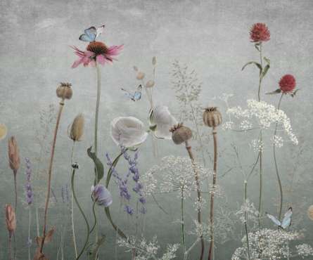Фотошпалери польові дизайнерські квіти сірі Фотошпалери польові дизайнерські квіти сірі