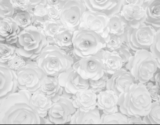 Фотошпалери Біла стіна з паперових квітів 25630