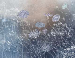 Фотошпалери сині волошки 30817