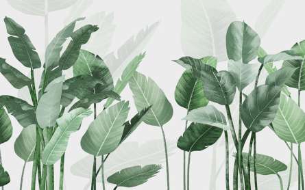 Фотошпалери Бананові листя