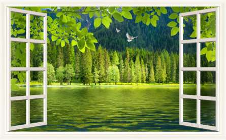 Фотошпалери Ліс за вікном Фотошпалери Ліс за вікном