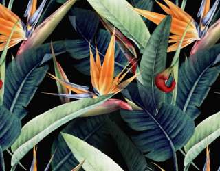 Фотошпалери яскраві тропічні листя 30576