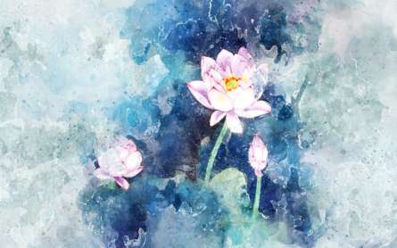 Фотошпалери Акварельний лотос Фотошпалери Акварельний лотос