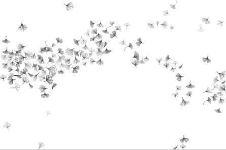 Фотошпалери кульбаба в стилі line art Фотошпалери кульбаба в стилі line art