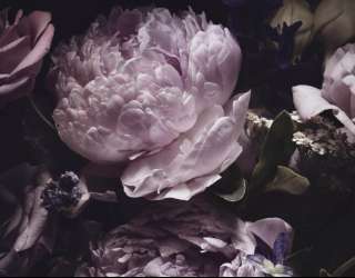 Фотошпалери Вінтажний букет 25365