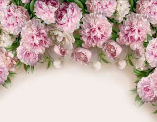 Фотошпалери Рожеві півонії 20004