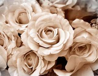 Фотошпалери 3D троянди 15556