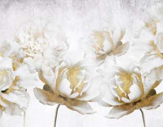 Фотошпалери білі квіти з золотом 29580