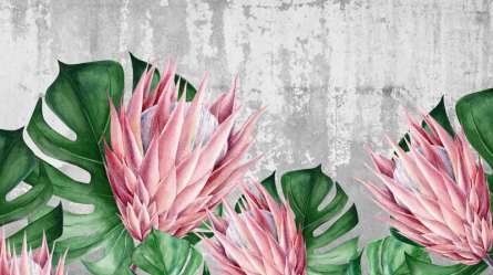 Фотошпалери квіти протеї Фотошпалери квіти протеї