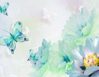 Фотошпалери Квіти і метелики 23766