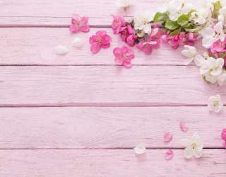 Фотошпалери білі і рожеві пелюстки на рожевому дерев'яному тлі 21155