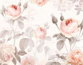 Фотошпалери Квіти пастель 19964