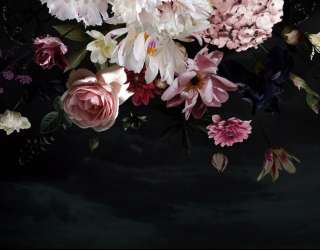 Фотошпалери Квіти на чорному тлі 33101