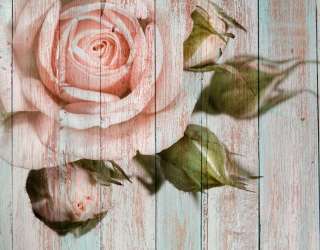 Фотообои Роза на фоне дерева 20046